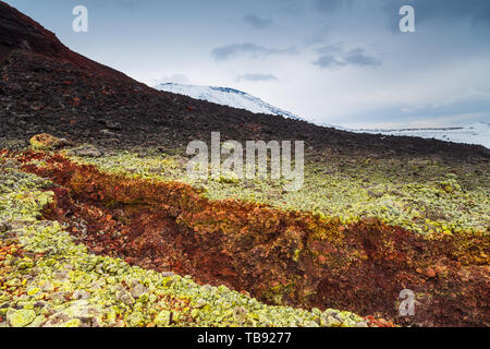 Paesaggio vulcanico sulla penisola di Kamchatka in estremo oriente della Russia. Verde muschio sulla roccia vulcanica nera, innevate dei vulcani in background. Foto Stock