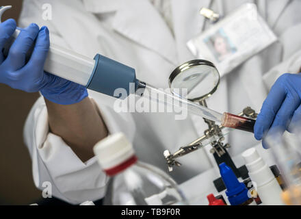 Polizia specializzata tenendo mostra il sangue nel supporto per microscopio per analizzare in laboratorio scientifico, immagine concettuale Foto Stock