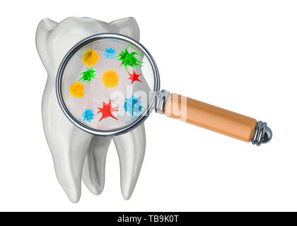 La ricerca e la diagnosi delle malattie dei denti del concetto. Dente con virus e batteri sotto la lente di ingrandimento, 3D rendering isolati su sfondo bianco Foto Stock