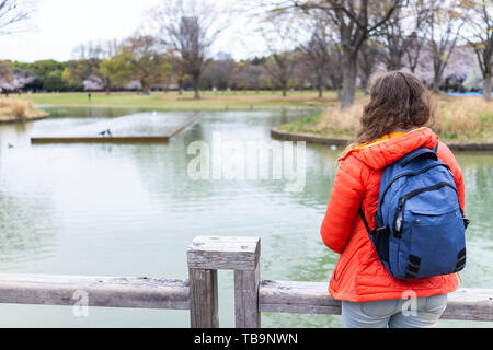 Tokyo, Giappone Yoyogi Park con il dorso del giovane turista donna in piedi che guarda al lago di stagno nel centro cittadino sul giorno nuvoloso Foto Stock