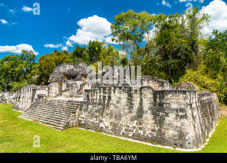 Antiche rovine maya di Tikal in Guatemala Foto Stock