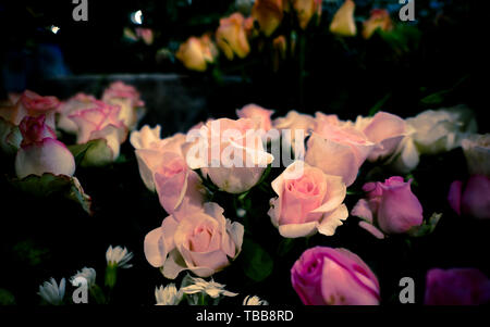 Triste fiore, apparentemente brillante, non da soli, ma la tristezza del cuore, lasciate appassire lentamente, ma non lasciare che la gente a capire. Il fiore è così così è la gente. Foto Stock