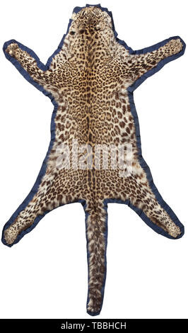 Una pelle di snow leopard (Uncia uncia o Panthera uncia), Asia Centrale, xx secolo splendidamente preparato la pelle di un snow leopard su un blu underlay tessili. Lievi tracce di età, alcune delle griffe sono mancanti. Lunghezza 185 cm (compresa la coda), larghezza 112 cm. Cita i certificati disponibili. La snow leopard o oncia utilizzata per essere trovato in tutte le regioni d'alta montagna di Asia, dall'Hindu Kush all'Himalaya, ad altitudini fino a 6.000 m. Oggi la popolazione è minacciata ovunque e lo snow leopard è uno del mondo più scarsa grande gatti. In tal modo tr, Additional-Rights-Clearance-Info-Not-Available Foto Stock