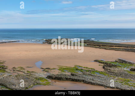 Scremerston, Northumberland, England, Regno Unito, Europa Foto Stock