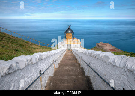 St Abbs, Berwickshire, Scotland, Regno Unito, Europa Foto Stock