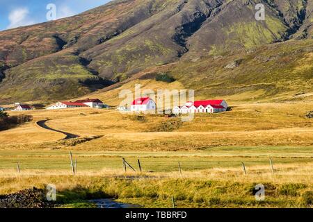 Tipico paesaggio islandese tra Vik e Joekulsarlon in Islanda, l'Europa. Foto Stock