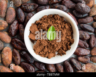 Cacao in polvere in un recipiente piccolo tostati chicchi di cacao intorno, vista dall'alto. Foto Stock