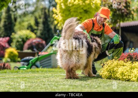Gli uomini si divertono con il suo cane. Pastore Tedesco e Caucasico maschio nel suo 30s. Foto Stock