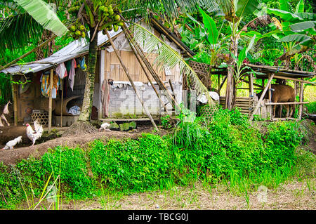 BALI, INDONESIA - febbraio circa, 2019. Vista della tradizionale Balinese fattoria a Tenganan Pegringsinan village. Foto Stock