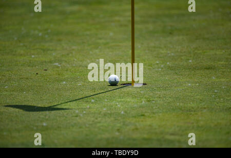 Dublino, OH, Stati Uniti d'America. 31 Maggio, 2019. Tiger Woods sfera quasi perde il foro durante il secondo turno di gioco a livello del 2019 Memorial Day torneo presentato da Nationwide a Muirfield Village Golf Club a Dublino, OH. Austyn McFadden/CSM/Alamy Live News Foto Stock