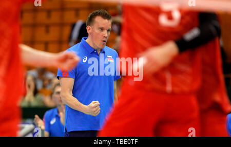 Novi Sad Serbia. 31 Maggio, 2019. In Russia la head coach Tuomas Sammelvuo reagisce durante il volley maschile di nazioni League match tra la Francia e la Russia a Novi Sad Serbia, il 31 maggio 2019. La Francia ha vinto 3-1. Credito: Predrag Milosavljevic/Xinhua/Alamy Live News Foto Stock