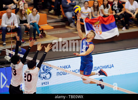 Novi Sad Serbia. 31 Maggio, 2019. La Serbia il Dusan Petkovic (R) i picchi durante il volley maschile di nazioni League match tra Serbia e Giappone a Novi Sad Serbia, il 31 maggio 2019. Il Giappone ha vinto 3-1. Credito: Predrag Milosavljevic/Xinhua/Alamy Live News Foto Stock