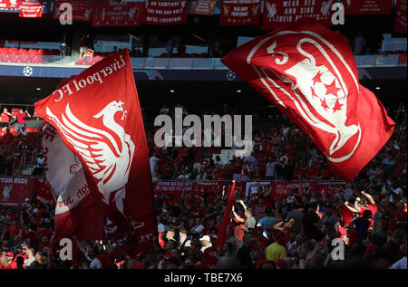 Madrid, Spagna. Dal 01 Giugno, 2019. Calcio: Champions League, Finale Tottenham Hotspur - FC Liverpool a Wanda Metropolitano Stadium. Tifosi del Liverpool sventolando bandiere nelle gabbie. Credito: Jan Woitas/dpa-Zentralbild/dpa/Alamy Live News Foto Stock