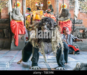 Banjar Gelulung, Bali, Indonesia - 26 Febbraio 2019: Mas villaggio. Riprodurre sul palco l'impostazione. Orso nero appare sulla scena. Foto Stock