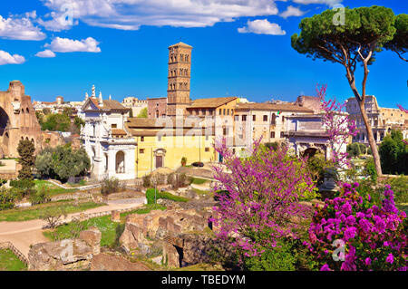 Scenic primavera vista panoramica sulle rovine del Foro Romano a Roma, capitale d'Italia Foto Stock