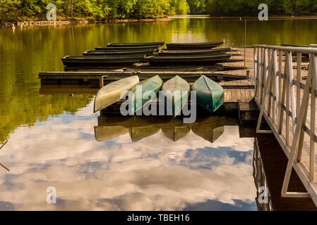 Green canoe memorizzati capovolto su un dock su un lago con le nubi riflessi nell'acqua Foto Stock