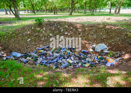 Dobrogea, Romania - 19 Maggio 2019: l'uomo fatto di garbage palo in natura. Birra di alluminio e lattine di soda e un paio di bottiglie di plastica gettati a terra in un p Foto Stock