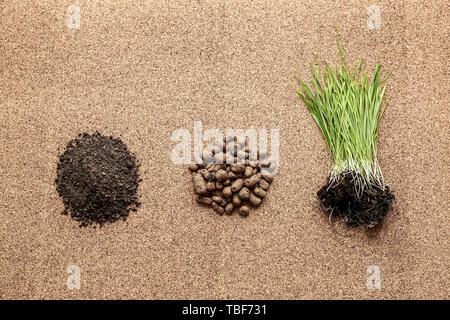 Erba verde con il terreno e ciottoli su sfondo di sughero Foto Stock