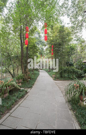 Foresta di Bamboo prugna Fiore strada prato in primavera a Chengdu, Cina Foto Stock