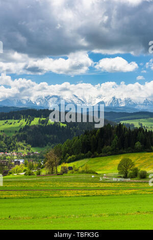 Alti Tatra gamma visto da di Pieniny parco nazionale in Polonia. Foto Stock