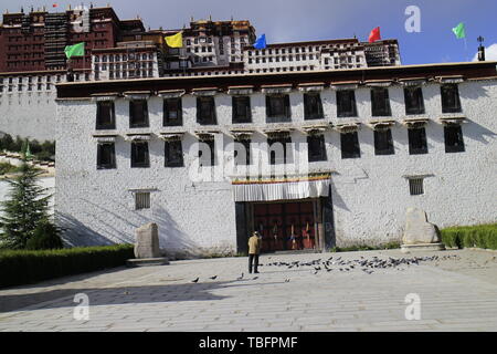 Sichuan-Tibet scenario di equitazione Foto Stock
