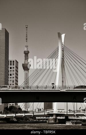 TOKYO, Giappone - 15 Maggio: Skytree come il punto di riferimento della città il 15 maggio 2013 a Tokyo. Tokyo è la capitale del Giappone e la più popolosa area metropolitana del mondo Foto Stock