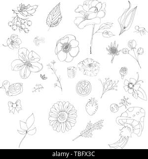 Grande set di schizzi e scarabocchi di linea - disegnata a mano gli elementi di design - isolato fiori, foglie, erbe - per la decorazione di stampe, etichette modelli - vettore Illustrazione Vettoriale