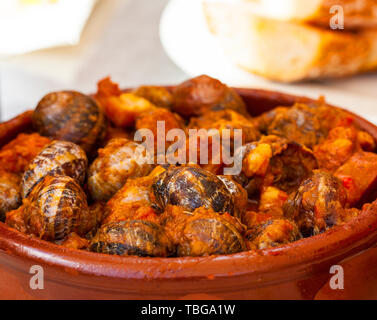 Close up di tapas tradizionali spagnole - il bollito di lumache in salsa di pomodoro con aglio e peperoncino in nero padella di ferro Foto Stock