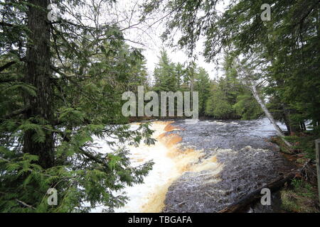 Vista di abbassare Tahquamenon Falls passato un albero di cedro in primo piano Foto Stock