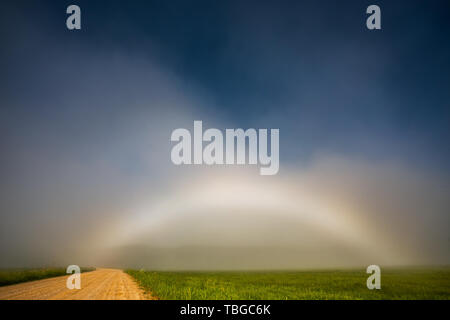 Rare White Rainbow Fogbow in prossimità del percorso Foto Stock