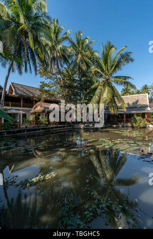 Hotel Resort , Villa Oasis, laguna con alberi di palma, Luang Prabang , sud est asiatico Foto Stock