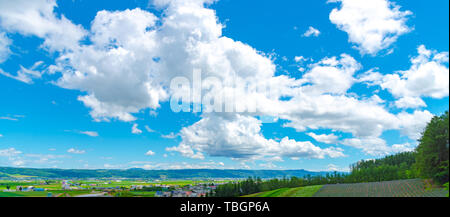 Gilet viola Lavanda fiori di campo estivo in giornata soleggiata con sfondo naturale a Farm Tomita, furano, Hokkaido, Giappone Foto Stock