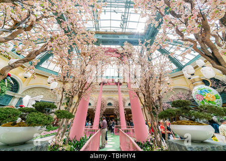 Las Vegas, Apr 28: Speciale primavera giapponese display nel conservatorio di Bellagio & Giardini Botanici il Apr 28, 2019 a Las Vegas, Nevada Foto Stock