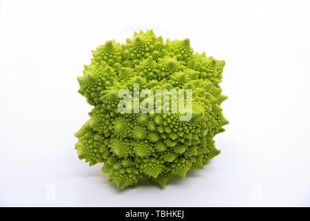 Cavolo romano isolati su sfondo bianco Foto Stock