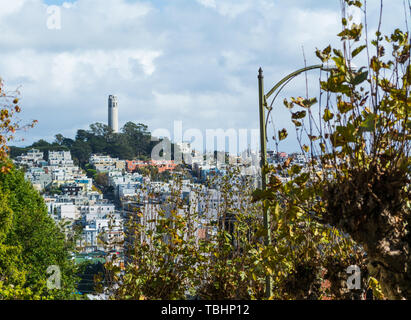 Mondo famoso Coit Tower a San Francisco. Northern California, Stati Uniti d'America Foto Stock