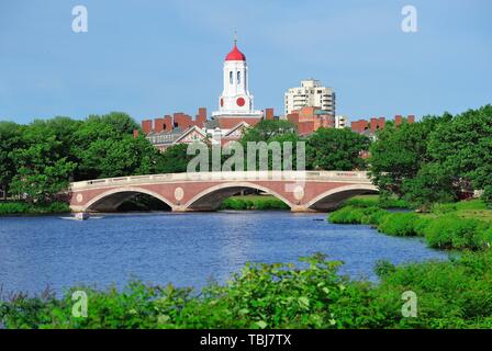 John W. Settimane Bridge e torre dell orologio su Charles River in Harvard University campus in Boston con alberi e cielo blu. Foto Stock