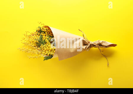 Bouquet di bellissimi fiori di mimosa sul colore di sfondo Foto Stock