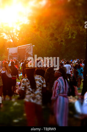 Philadelphia, PA, Stati Uniti d'America. Il 1 giugno, 2019. Il pubblico assiste il dodicesimo radici annuale picnic con ospite speciale artista di registrazione/attore Yasiin Bey e altri il 1 giugno 2019 presso il Fairmont Park di Philadelphia, PA. Credito: Mpi43/media/punzone Alamy Live News Foto Stock