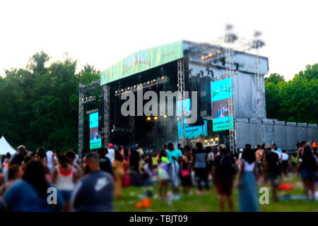 Philadelphia, PA, Stati Uniti d'America. Il 1 giugno, 2019. Il pubblico assiste il dodicesimo radici annuale picnic con ospite speciale artista di registrazione/attore Yasiin Bey e altri il 1 giugno 2019 presso il Fairmont Park di Philadelphia, PA. Credito: Mpi43/media/punzone Alamy Live News Foto Stock