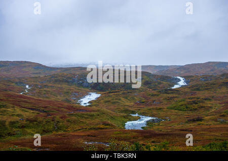 Fiume, prati e montagne innevate del norvegese altopiano di hardangervidda in estate in un giorno di nebbia Foto Stock