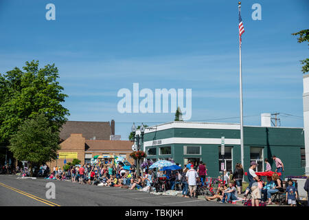 La folla si raccolgono lungo la strada per gli agricoltori Lynden parata del giorno. Lynden, Washington Foto Stock