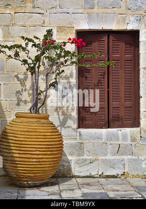 Vaso in ceramica pentola con bougainvillea e finestra in legno tradizionali contro il muro di pietra, isola di Tinos, Grecia. Foto Stock