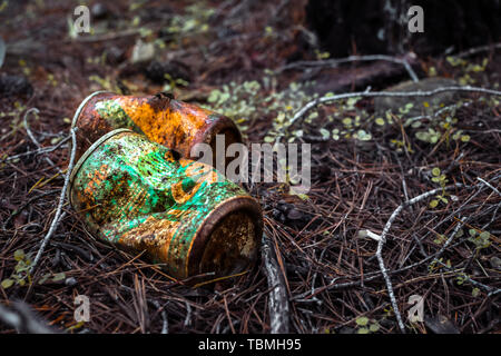 Malaga, Spagna - 03 Marzo 2018. Vecchio arrugginito Sprite lattina della bevanda nella foresta Foto Stock