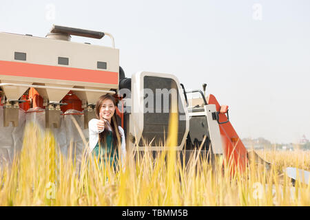 Giovane donna cinese agonomist in golden campo di cereali con piccole harvester Foto Stock