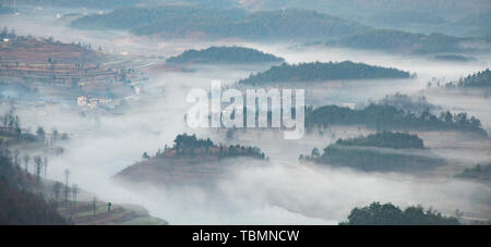 nebbia di montagna Foto Stock