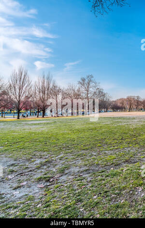 Philadelphia, Pennsylvania, Stati Uniti d'America - Dicembre 2018 - La splendida vista di campo in un cielo blu giorno da Benjamin Franklin Parkway nel centro cittadino di Philadelphia. Foto Stock