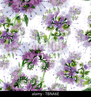 Violetta phaselia foral fiori botanica. Wild molla a balestra di fiori selvaggi. Illustrazione ad acquerello set. Disegno ad acquerello fashion aquarelle. Seamless bac Foto Stock