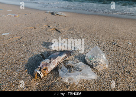 La morte del pesce e immondizia di plastica sulla spiaggia in mare inquinamento scape ambiente con illuminazione sun. Foto Stock