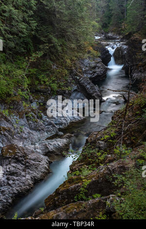 Un ritratto aspetto del Fiume Qualicum precipita attraverso la gola in Little Qualicum Parco Provinciale, Isola di Vancouver, Canada creando piccole cascate Foto Stock