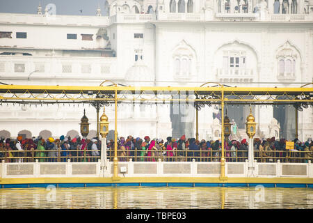 Turisti e pellegrini in attesa in linea in entrata l'Harmandir Sahib (Tempio d'oro). Foto Stock